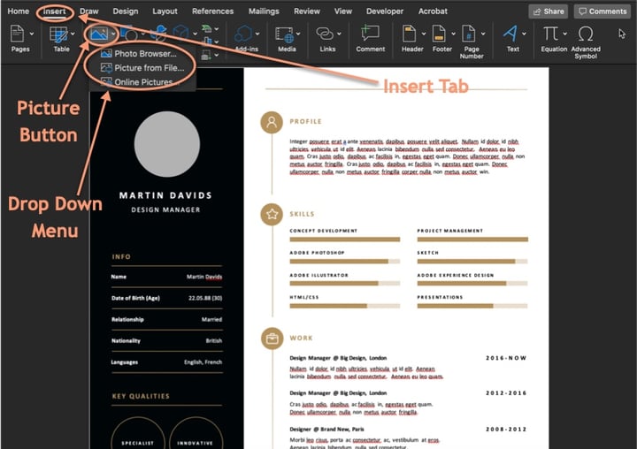 How to Write, Design, &amp; Make a Simple Pro Resume Quickly with Templates